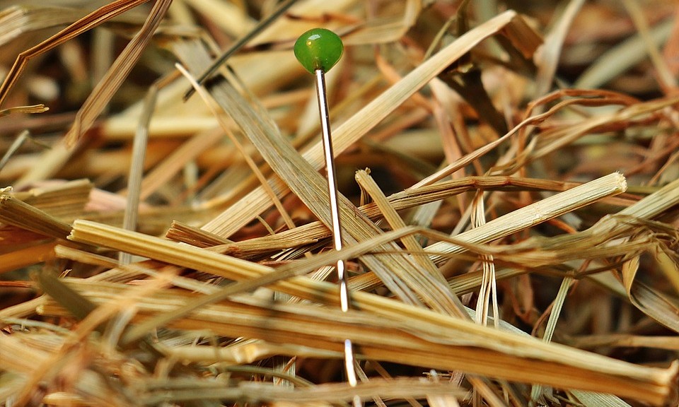 Bilinugal recruitment specialists can help you find a needle in a haystack